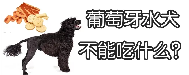 葡萄牙水犬不能吃什么 | 宠物病虫害防治