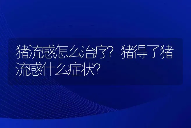 猪流感怎么治疗？猪得了猪流感什么症状？ | 兽医知识大全