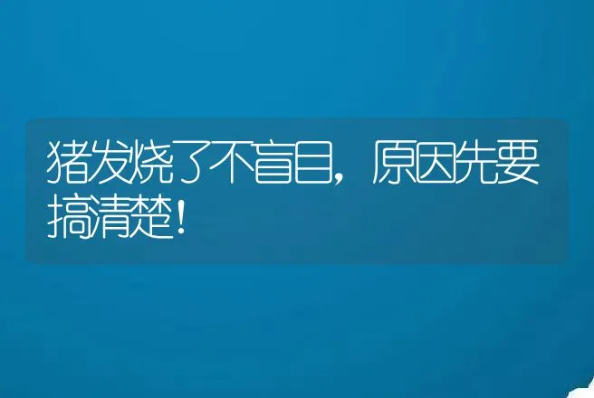 猪发烧了不盲目，原因先要搞清楚！ | 兽医知识大全