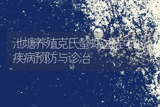 池塘养殖克氏螯虾过程中的疾病预防与诊治 | 动物养殖