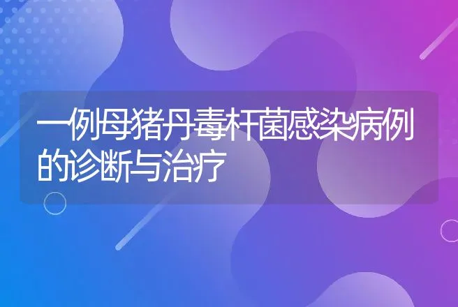 仔猪口蹄疫怎么治疗？仔猪口蹄疫治疗方法！ | 兽医知识大全