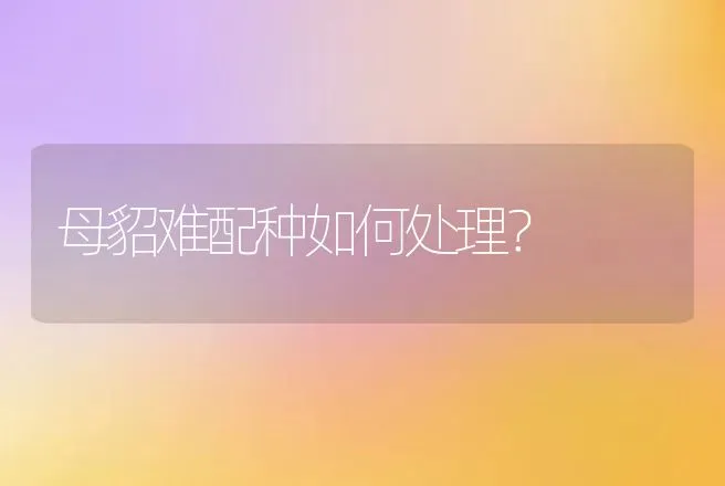 母貂难配种如何处理？ | 特种养殖