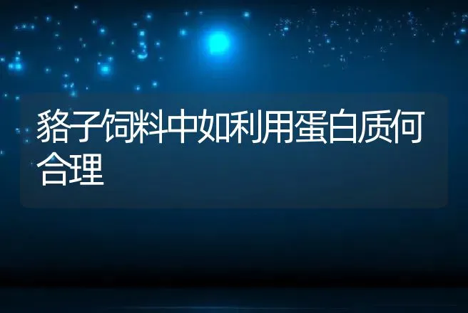 貉子饲料中如利用蛋白质何合理 | 特种养殖