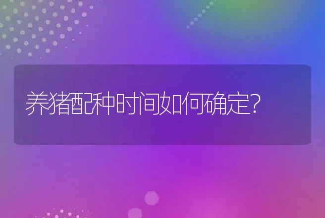 养猪配种时间如何确定？ | 家畜养殖