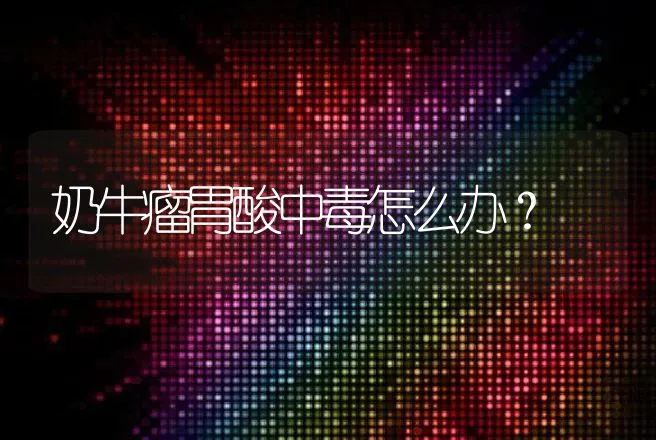 奶牛瘤胃酸中毒怎么办？ | 家畜养殖