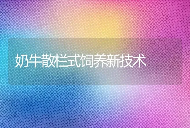 奶牛散栏式饲养新技术 | 动物养殖