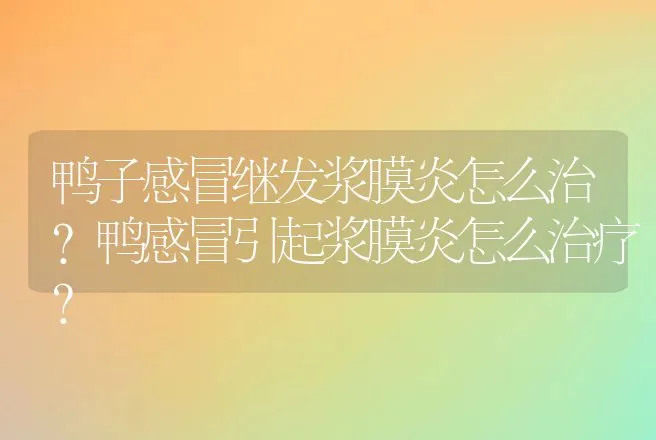 鸭子感冒继发浆膜炎怎么治？鸭感冒引起浆膜炎怎么治疗？ | 兽医知识大全