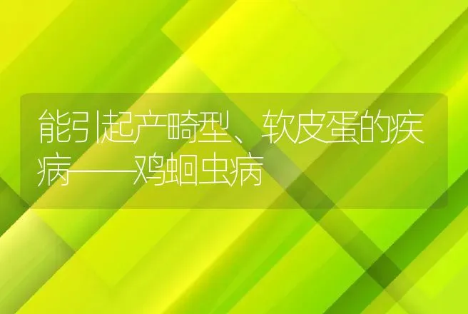 能引起产畸型、软皮蛋的疾病――鸡蛔虫病 | 动物养殖