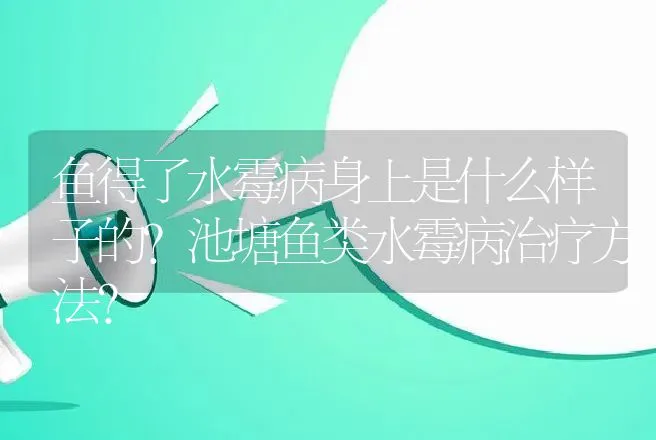 鱼得了水霉病身上是什么样子的?池塘鱼类水霉病治疗方法? | 兽医知识大全