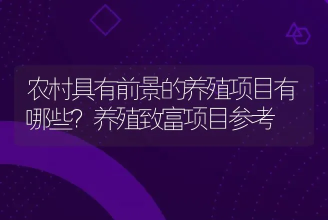 农村具有前景的养殖项目有哪些？养殖致富项目参考 | 养殖致富