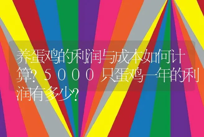 养蛋鸡的利润与成本如何计算？5000只蛋鸡一年的利润有多少？ | 家禽养殖