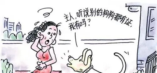 代办狗户口年检真假啊，互联网咋啥都有？ | 宠物新闻资讯