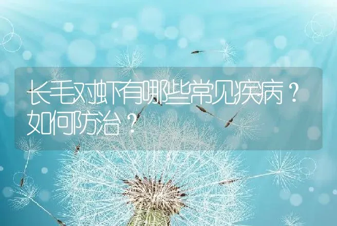 烤花揽鳜鱼的制作 | 动物养殖