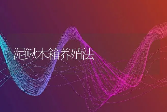 泥鳅木箱养殖法 | 动物养殖