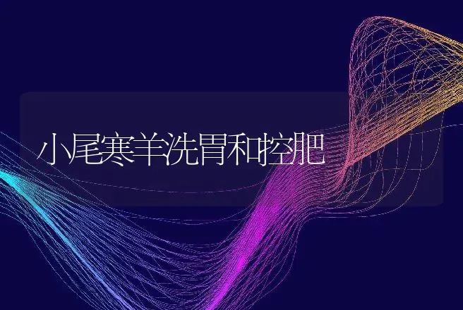 小尾寒羊洗胃和控肥 | 动物养殖