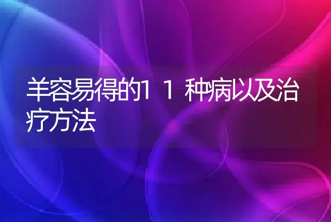 羊容易得的11种病以及治疗方法 | 兽医知识大全