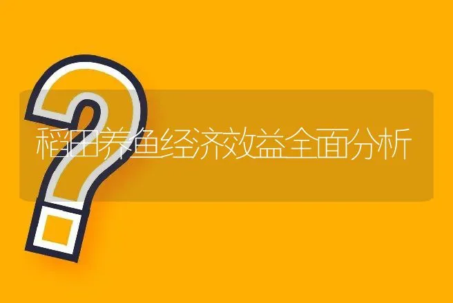 稻田养鱼经济效益全面分析 | 动物养殖