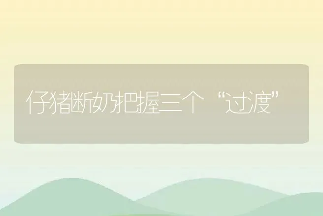 仔猪断奶把握三个“过渡” | 动物养殖