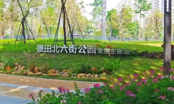 深圳首个宠物主题社区公园来了，许小小的它一方天地 | 宠物新闻资讯