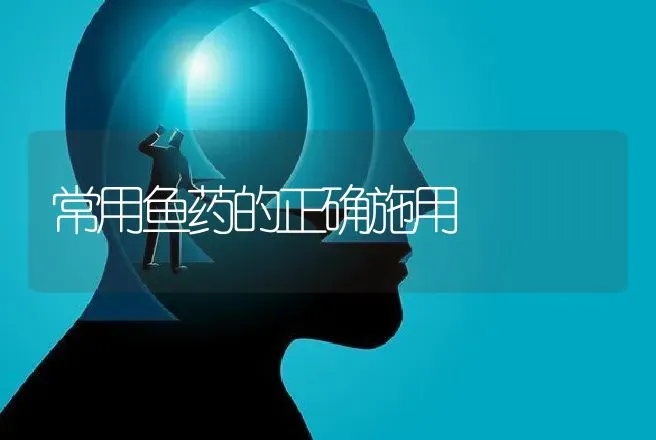 增强鱼体抗病力的措施 | 动物养殖