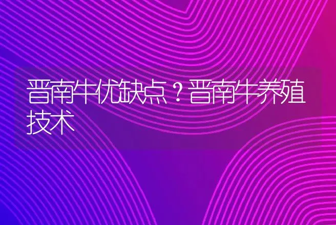 晋南牛优缺点？晋南牛养殖技术 | 家畜养殖