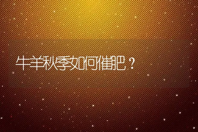 牛羊秋季如何催肥？ | 家畜养殖