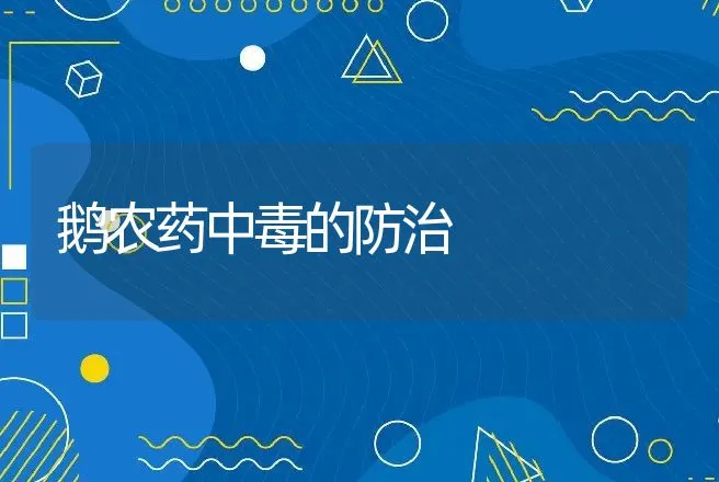 鹅农药中毒的防治 | 家禽养殖