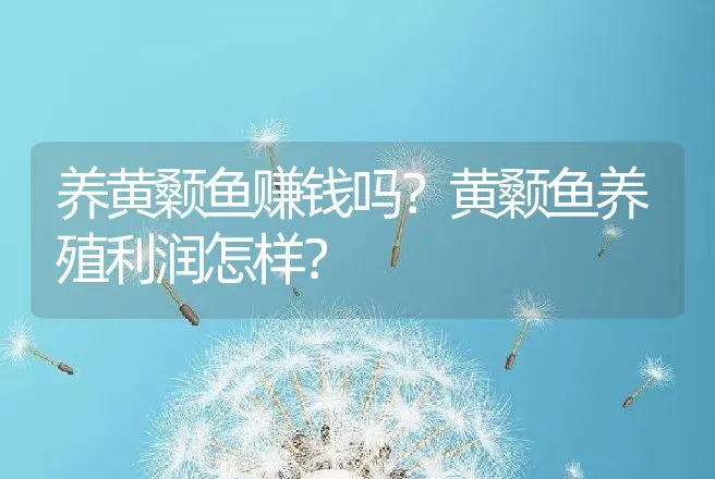 养黄颡鱼赚钱吗？黄颡鱼养殖利润怎样？ | 养殖致富