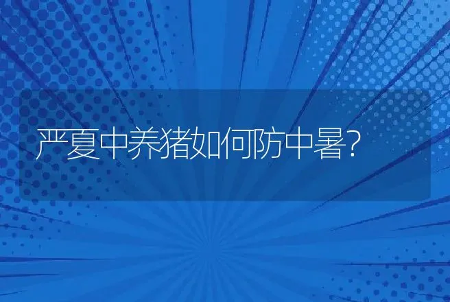 严夏中养猪如何防中暑？ | 动物养殖