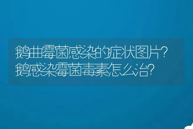 鹅曲霉菌感染的症状图片？鹅感染霉菌毒素怎么治？ | 兽医知识大全