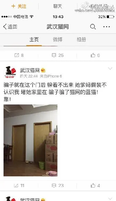 如果能预知这血淋淋的结果我断不会将爱宠交给黑心“救助站” | 宠物新闻资讯