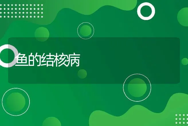 温度与湿度-塑料暖棚养猪的环境影响与日常管理（一） | 动物养殖