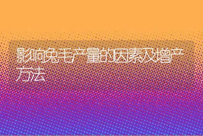 影响兔毛产量的因素及增产方法 | 动物养殖