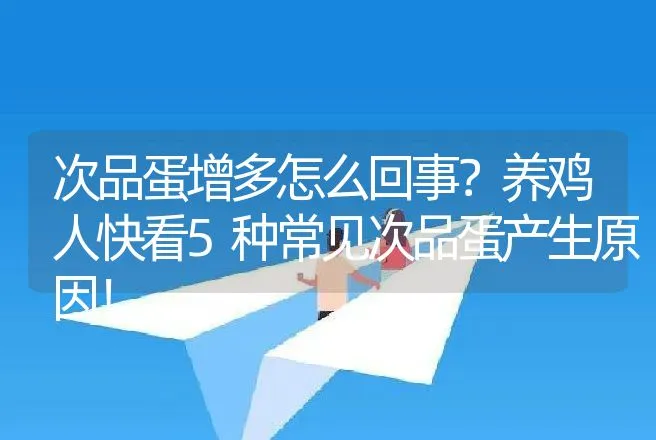 次品蛋增多怎么回事？养鸡人快看5种常见次品蛋产生原因！ | 家禽养殖