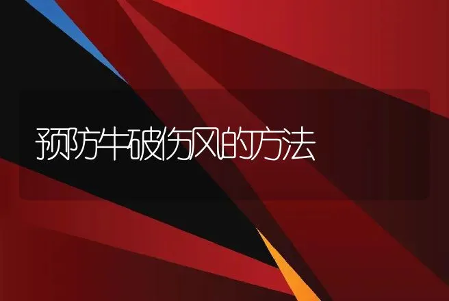 预防牛破伤风的方法 | 家畜养殖