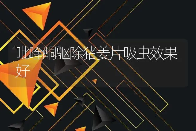 蝇蛆养殖的难度和最常见的问题有那些？ | 动物养殖