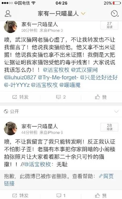 如果能预知这血淋淋的结果我断不会将爱宠交给黑心“救助站” | 宠物新闻资讯