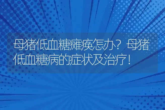 母猪低血糖瘫痪怎办？母猪低血糖病的症状及治疗！ | 兽医知识大全