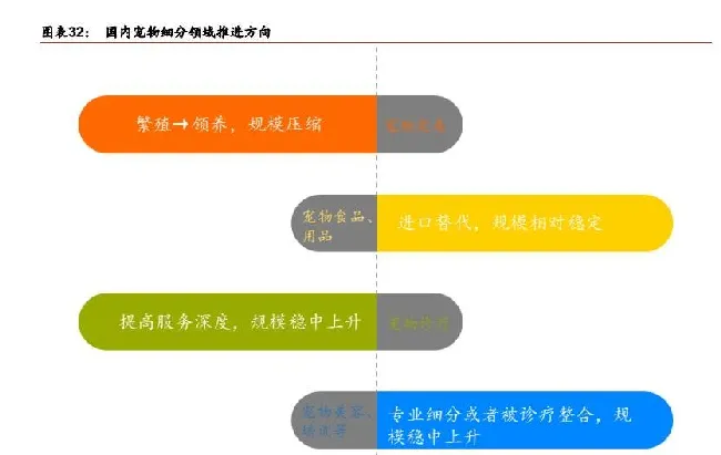 华泰证券研报看好宠物行业：小荷露尖角，萌宠立潮头 | 宠物行业洞察