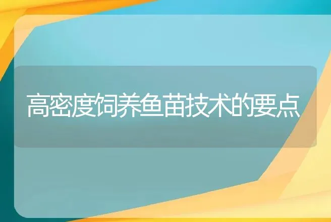 高密度饲养鱼苗技术的要点 | 动物养殖