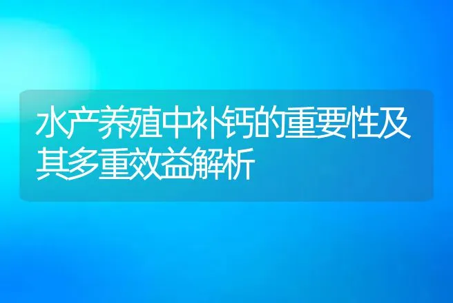 水产养殖中补钙的重要性及其多重效益解析 | 水产知识