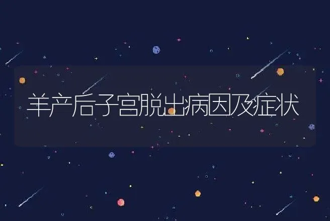 羊产后子宫脱出病因及症状 | 动物养殖