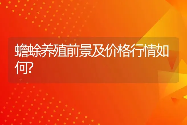 蟾蜍养殖前景及价格行情如何? | 养殖致富