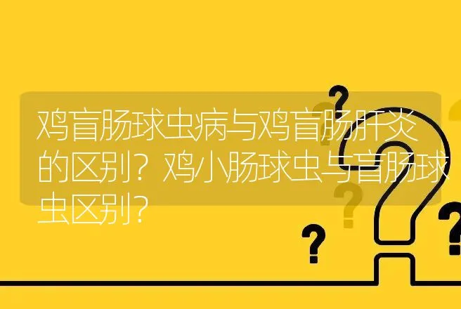 鸡盲肠球虫病与鸡盲肠肝炎的区别？鸡小肠球虫与盲肠球虫区别？ | 兽医知识大全