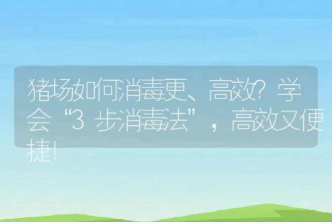 猪场如何消毒更、高效？学会“3步消毒法”，高效又便捷！ | 兽医知识大全