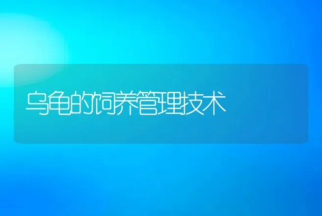 乌龟的饲养管理技术 | 特种养殖