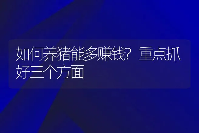 如何养猪能多赚钱?重点抓好三个方面 | 家畜养殖