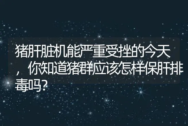 猪肝脏机能严重受挫的今天，你知道猪群应该怎样保肝排毒吗？ | 兽医知识大全