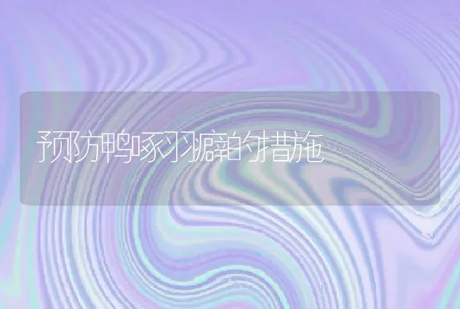 预防鸭啄羽癖的措施 | 家禽养殖