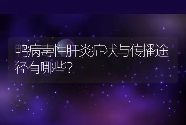 鸭病毒性肝炎症状与传播途径有哪些？ | 家禽养殖